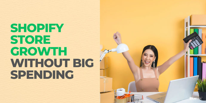 How New Shopify Stores Can Rapidly Attract Customers with Limited Ad Budgets and Organic Reach