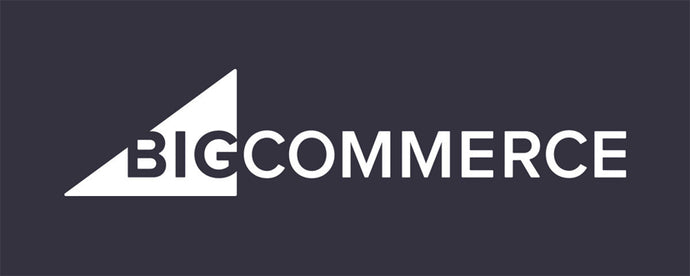 What drive the necessity to hire Bigcommerce Website Designer?