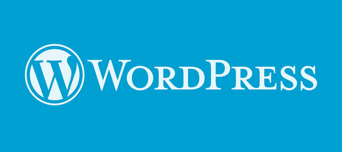 5 Key questions to ask before Hire Dedicated WordPress Developer