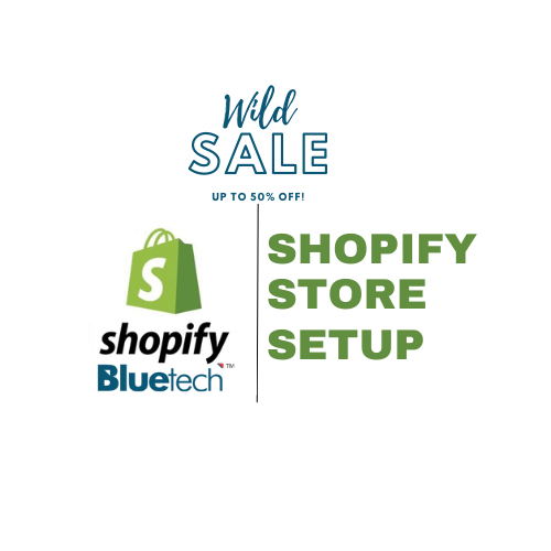 Shopify store set up